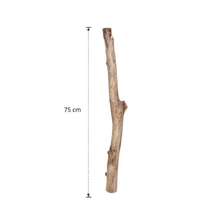 Oud eikenstam 75 cm (2)