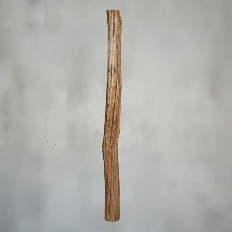 Oud eikenstammen (2)