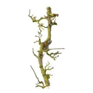 Perentak naturel 80 cm