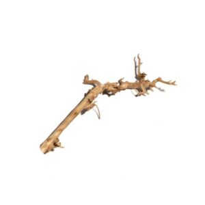 Perentak ontschorst 80 cm