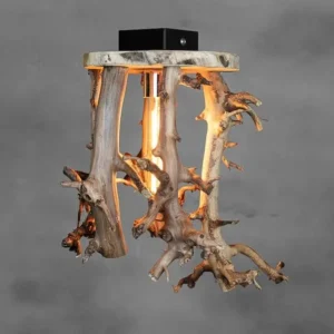 Plafonnière Perentakken