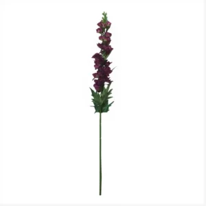 Ridderspoor Aubergine 70cm