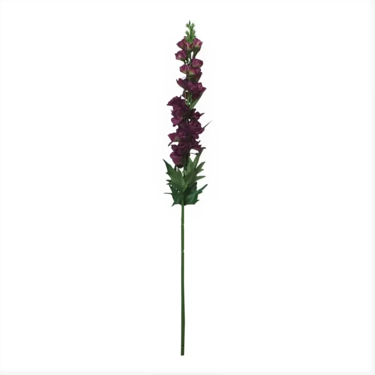 Ridderspoor Aubergine 70cm