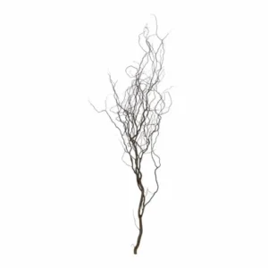 Robuuste Kronkelwilgtak Naturel 160cm