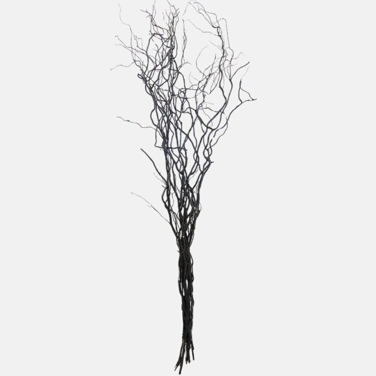 Robuuste wilgentak zwart