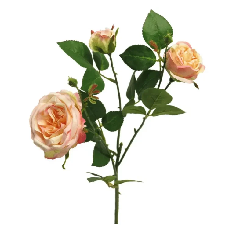 Rozentak Wit roze 60cm