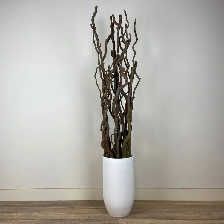 Set Robuuste Kronkelwilgtakken zonder pot 160cm (1)