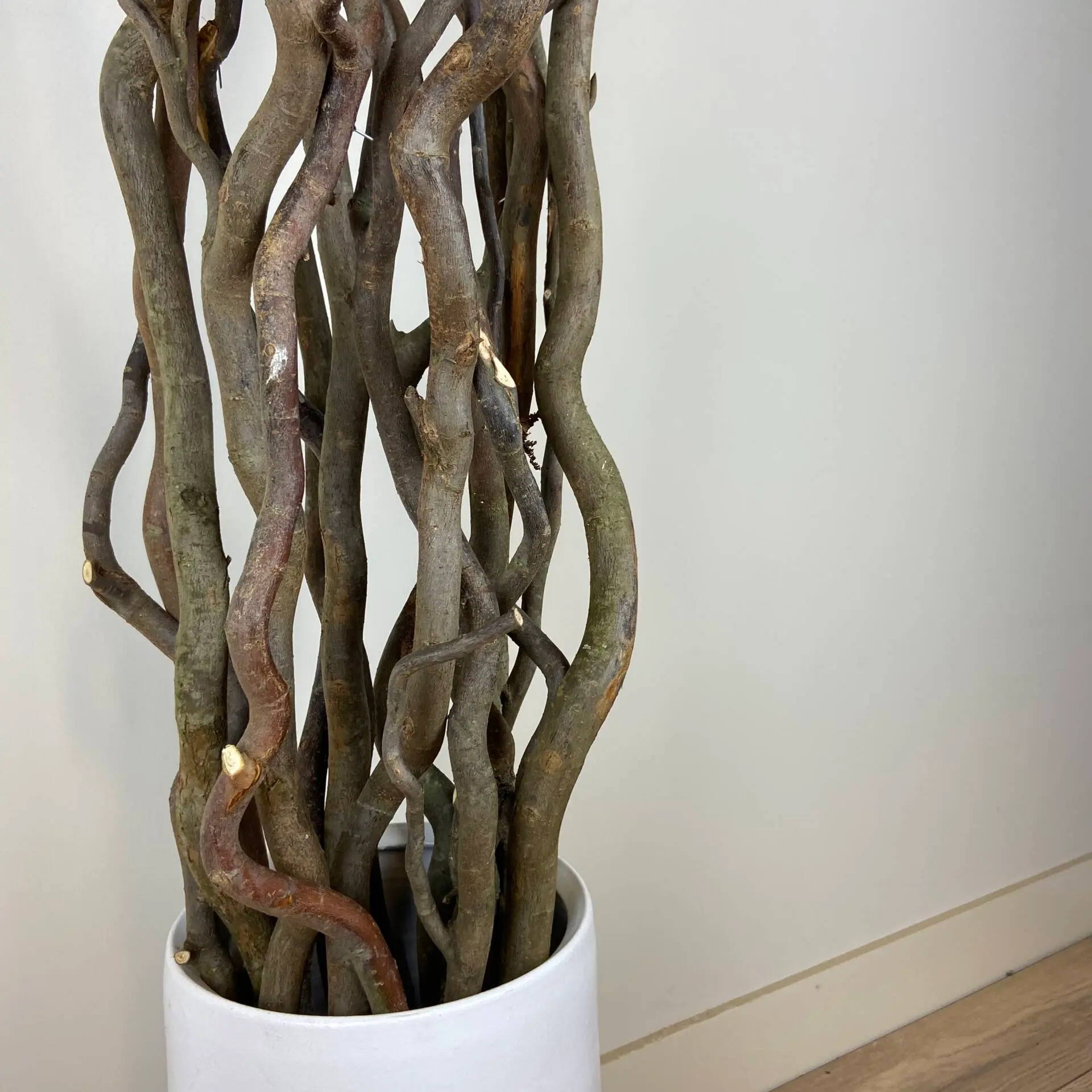 Set Robuuste Kronkelwilgtakken zonder pot 160cm (5)