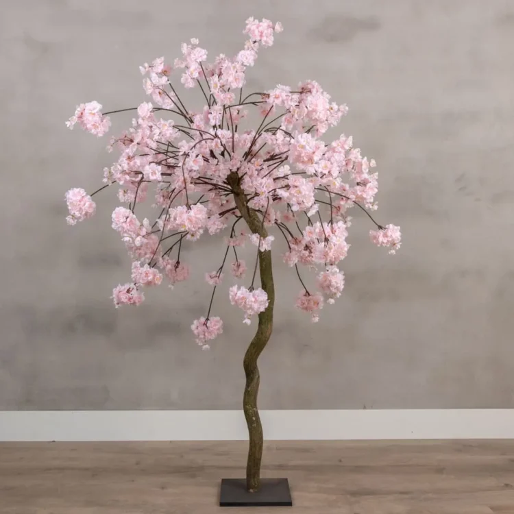 Tafelbloesemboom Camille Rozen120cm