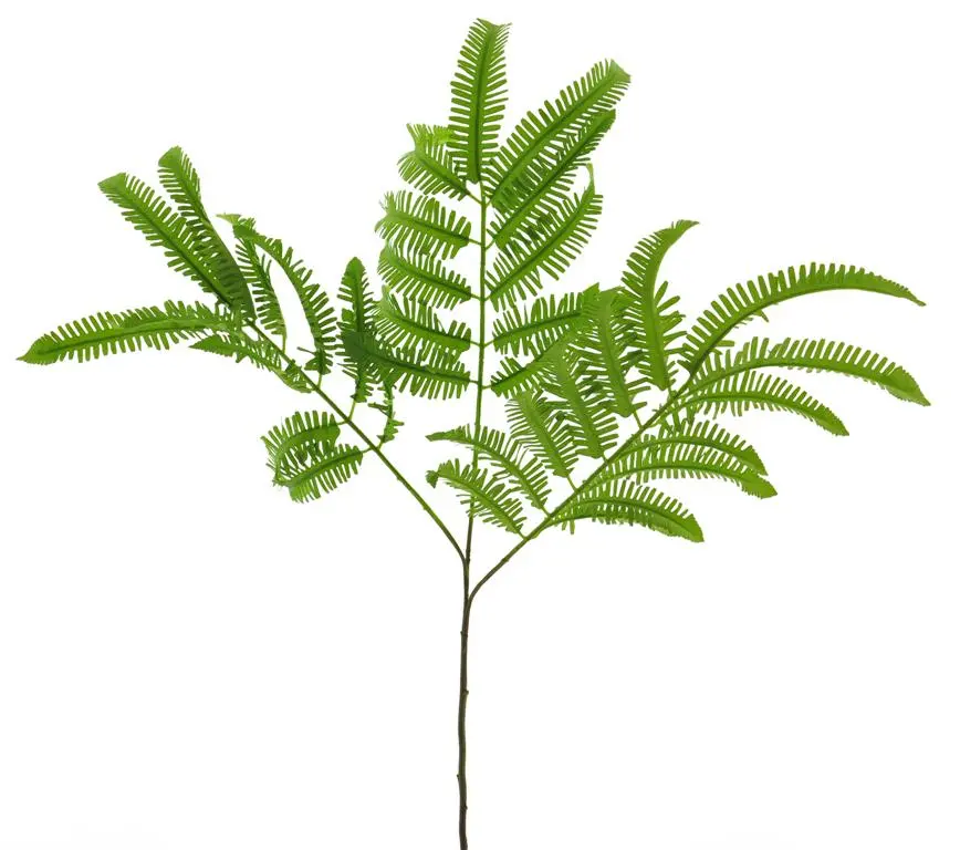 Varenblad groot Groen 90cm