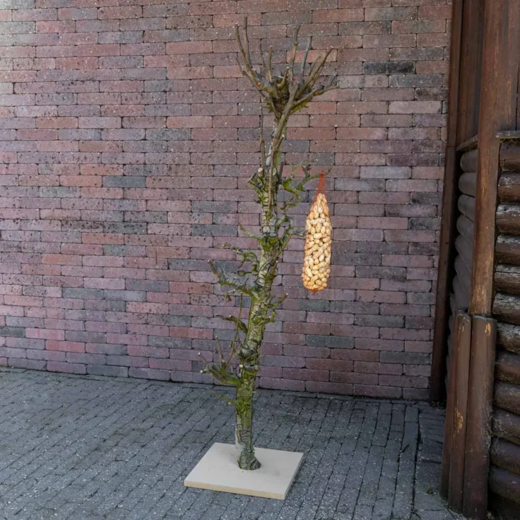 Vogelboom Rani 150cm (1)