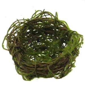 Vogelnestje-Mos-9-cm_product