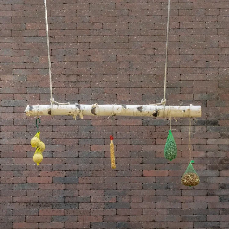 Volière tak Berk 100cm (1)