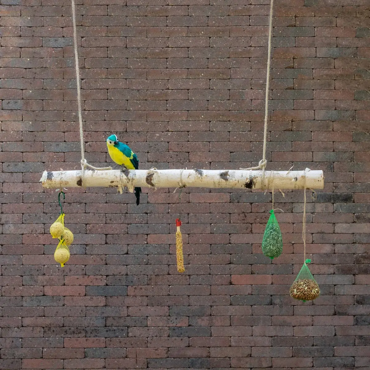 Volière tak Berk 150cm (1)