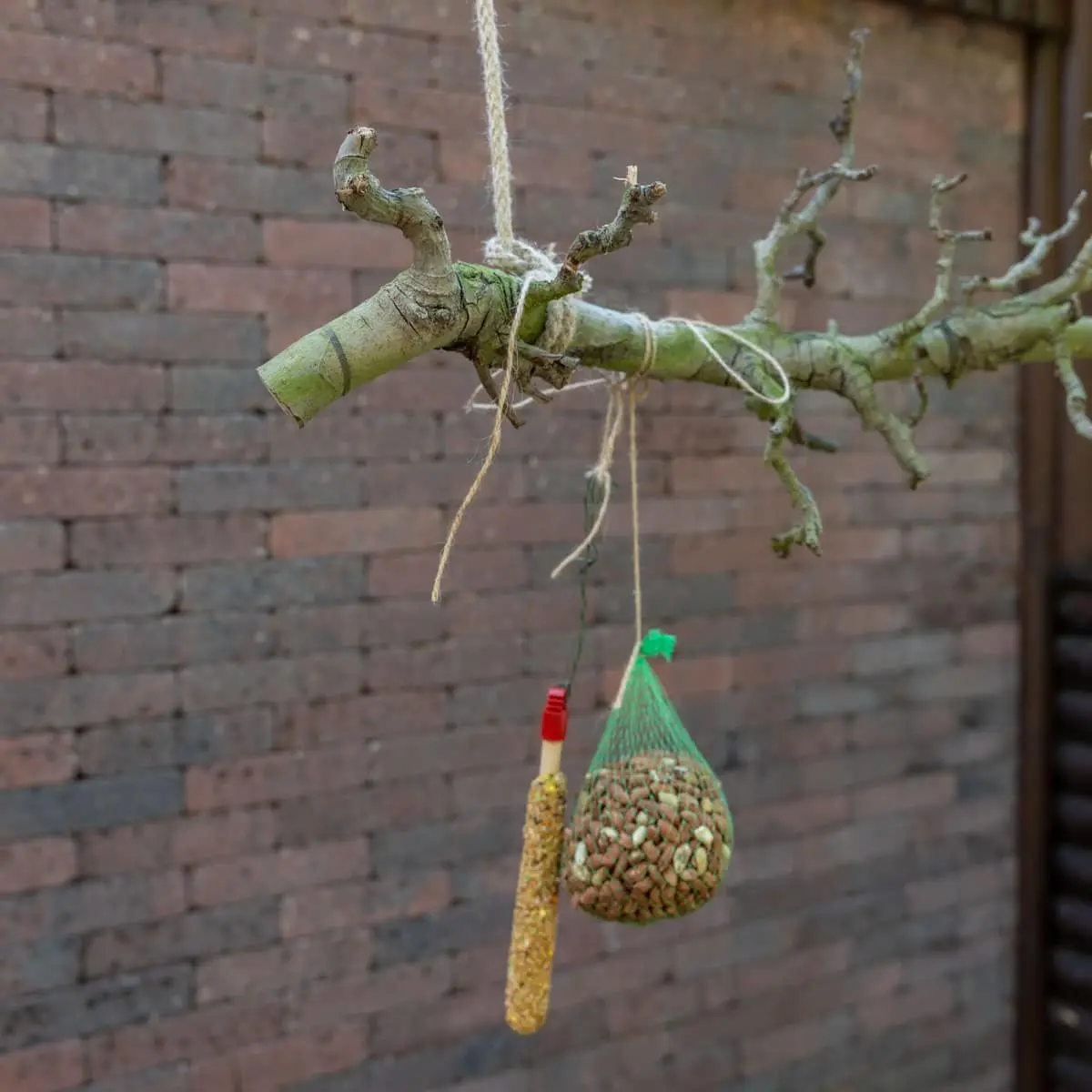 Volière tak Naturel 120cm (3)