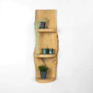 Wand Boomstamrek Einar Old Naturel 25x15x100 (12)