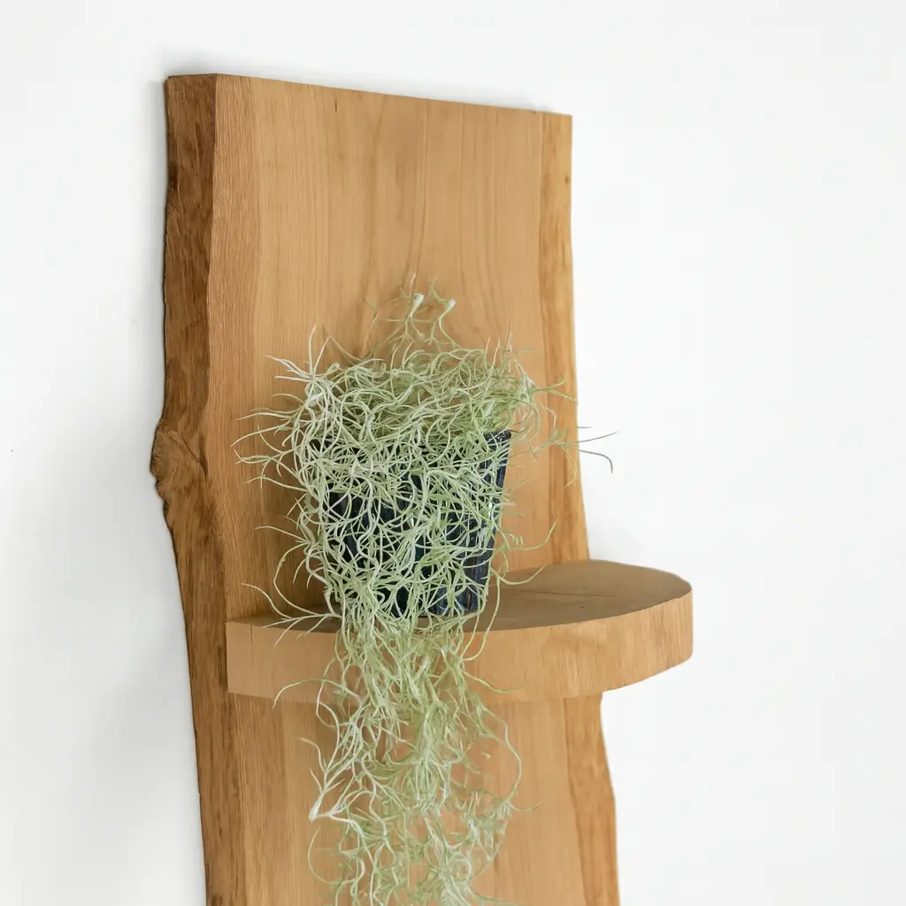 Wand Boomstamrek Einar Old Naturel 25x15x100 (14)