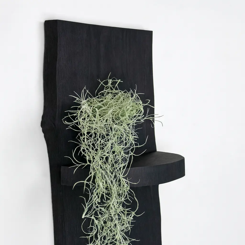 Wand Boomstamrek Vigo Zwart 25x15x100 (3)