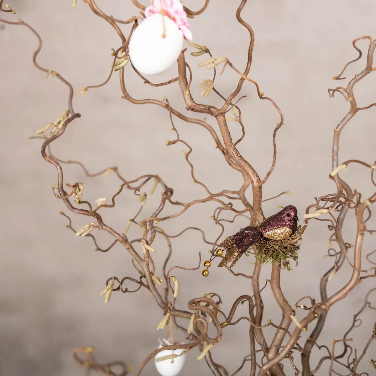 Wensboom Kronkelhazelaars Naturel 120cm (6)