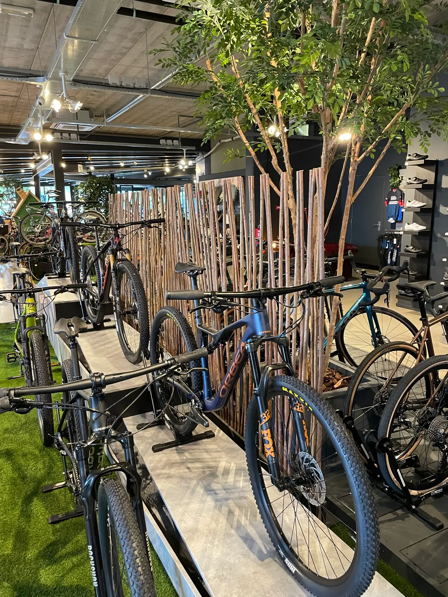 Wilgen Roomdivider Sverre Met zwarte voet H165cm, winkel (2)