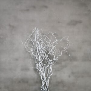 Wilgentak wit 120 cm