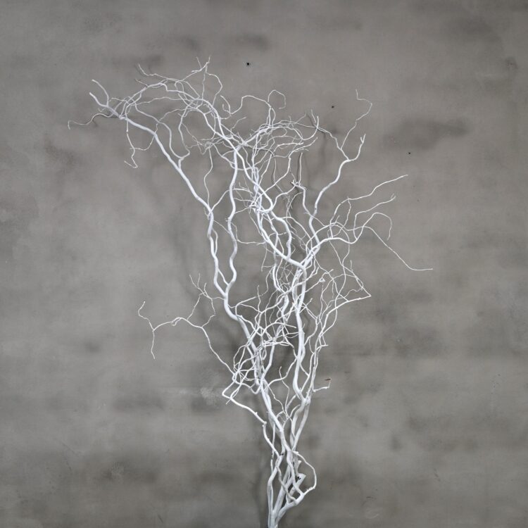 Wilgentak wit 150 cm