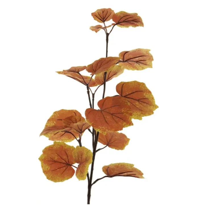 Winterlinde Bruin Oranje 80cm