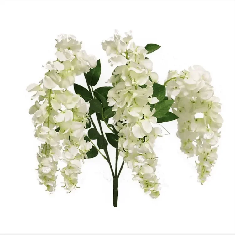 Wisteria Tros Wit 75cm