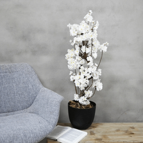 Witte-bloesemboompje-zwarte-pot-Decoratietakken