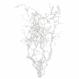 Witte hazeltakkenbundel 120 cm