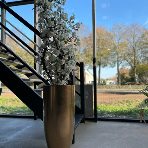 hal-met-witte-bloesemboom-met-gouden-pot-Decoratietakken