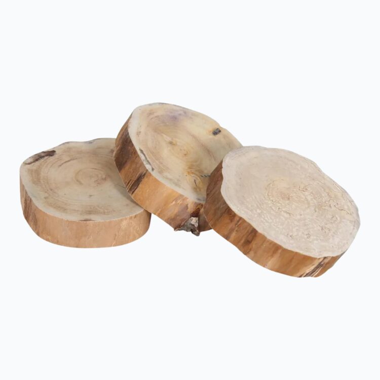 houten schijven homepage