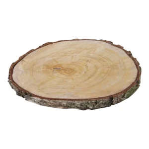 houtschijf berk 30-35cm