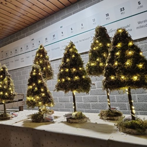 kerstboompje-van-mos-houdschijf-en-tak-Decoratietakken