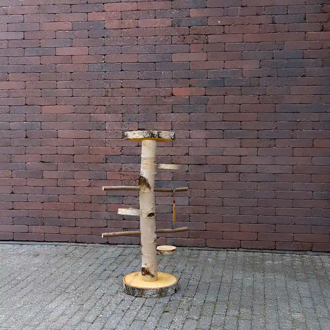 vogelboom-kiki-met-voederplateau-100cm