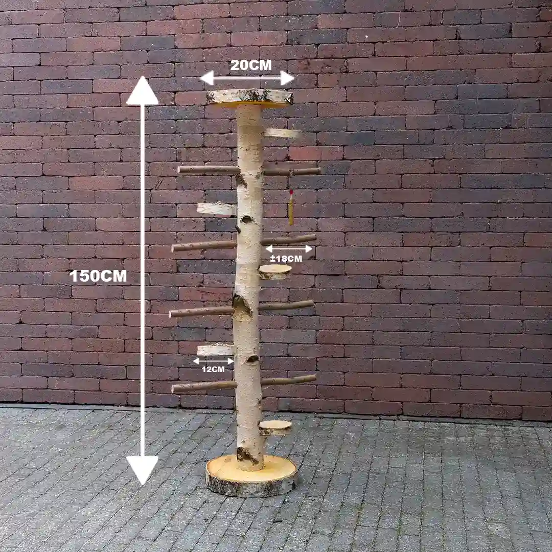 vogelboom-kiki-met-voederplateau-afmetingen150cm